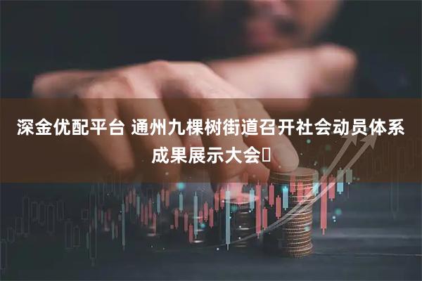 深金优配平台 通州九棵树街道召开社会动员体系成果展示大会‌