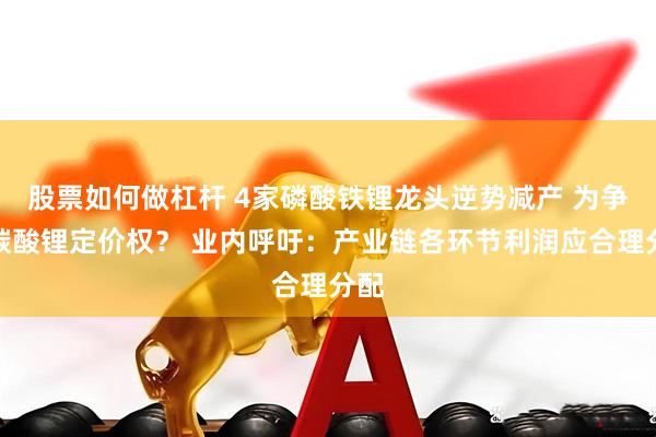 股票如何做杠杆 4家磷酸铁锂龙头逆势减产 为争夺碳酸锂定价权？ 业内呼吁：产业链各环节利润应合理分配