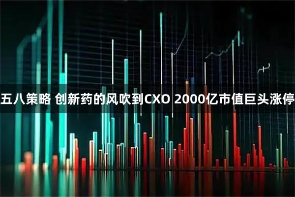 五八策略 创新药的风吹到CXO 2000亿市值巨头涨停
