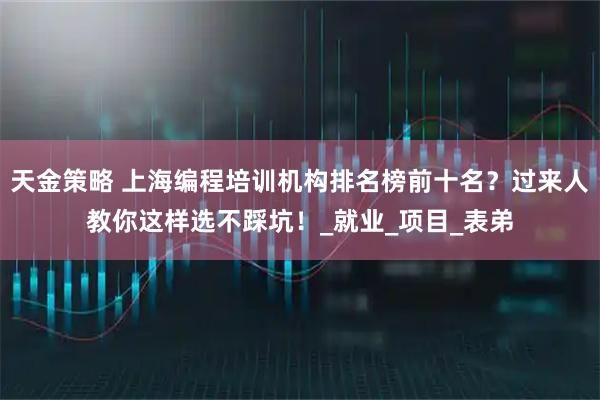 天金策略 上海编程培训机构排名榜前十名？过来人教你这样选不踩坑！_就业_项目_表弟